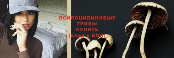 дживик Алзамай