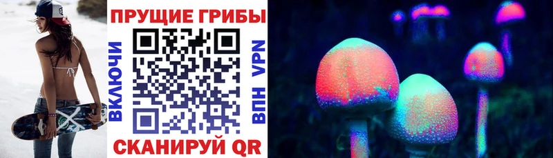 закладки  Ревда  Псилоцибиновые грибы Cubensis 