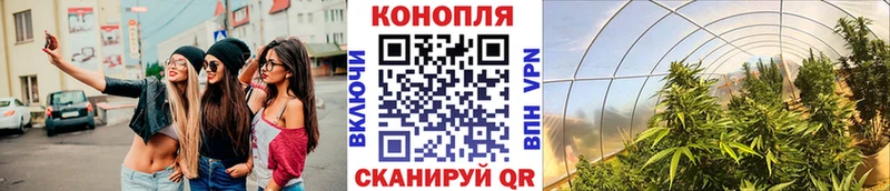 Бошки Шишки ГИДРОПОН  Ревда 